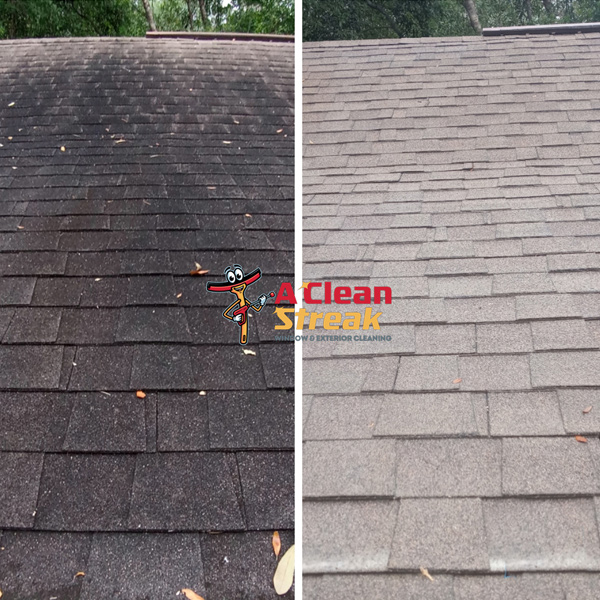 Before and After roof cleaning service