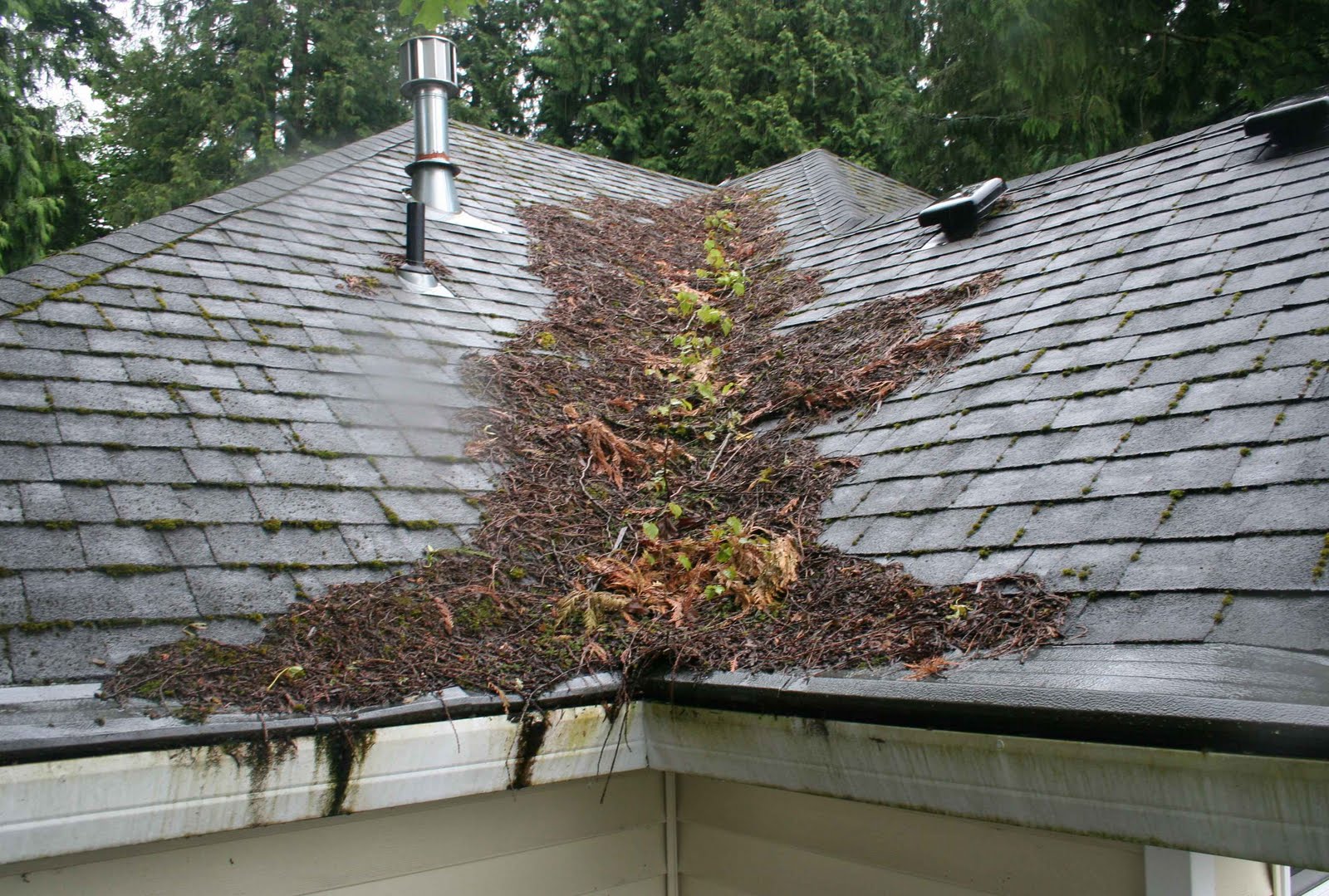 Expert Gutter Cleaning