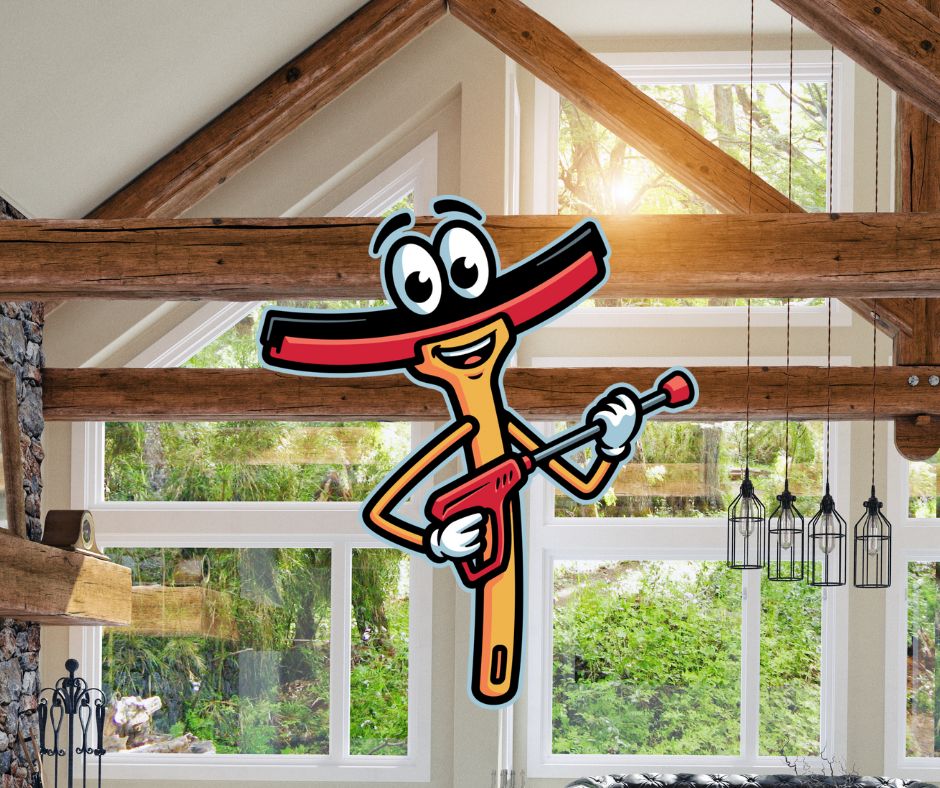 Importance of Professional Window Cleaning