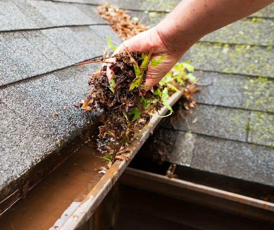 Gutter Cleaning: Protect Your Home Before the Fall Rains