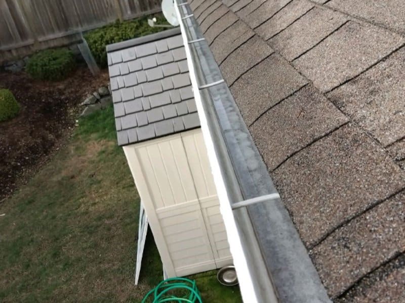 How Gutter Cleaning Prevents Pest Infestations - blog